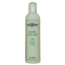 IDEEINTESTA SHAMPOO SECCHI 250 ML.