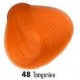 CRAZY COLOR 100 ML. TANGERINE