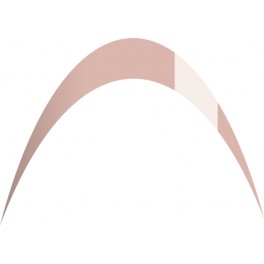 Nailemotion Uv Nail Polish HD 10 ml N. 463 Beige Camouflage